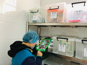 喜訊 我園食堂榮獲西安市餐飲服務食品安全年度等級A級評定